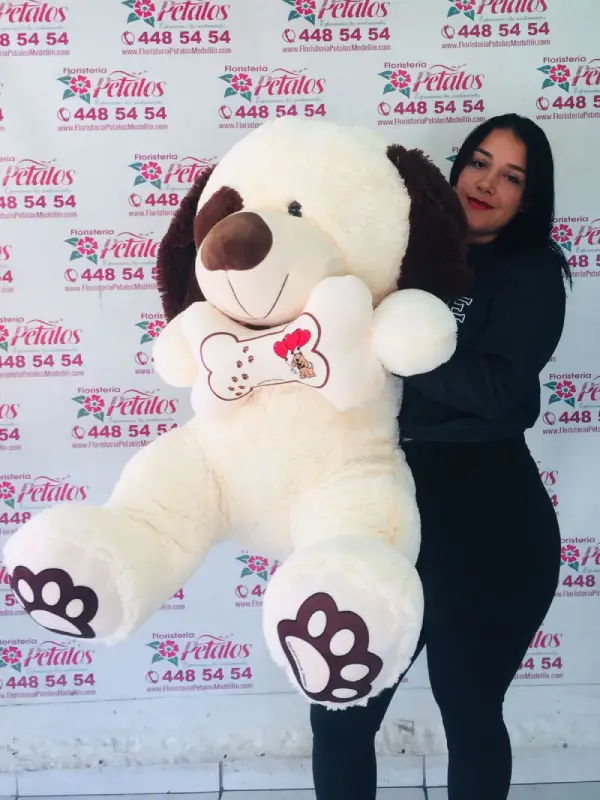 Flores Floristería Sabaneta 085